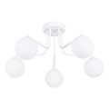 Lestenec na drogu ASTRAL 5xG9/8W/230V bela