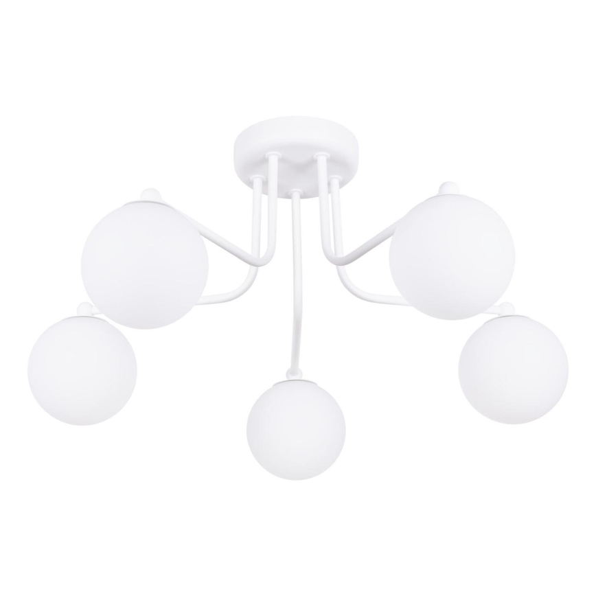 Lestenec na drogu ASTRAL 5xG9/8W/230V bela