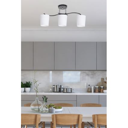 Lestenec na drogu ESNYR 3xE27/40W/230V črna/bela