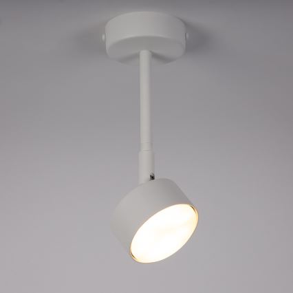 Lestenec na drogu NEMO 1xGX53/12W/230V 24 cm bela
