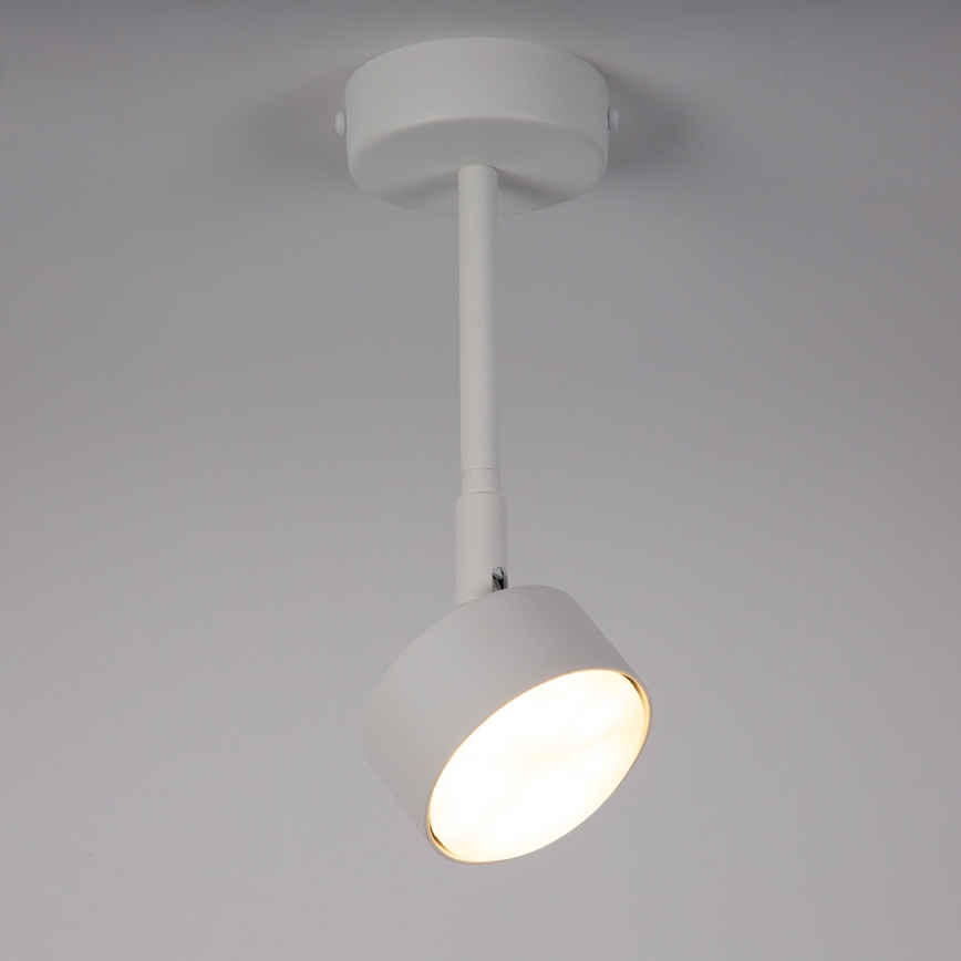 Lestenec na drogu NEMO 1xGX53/12W/230V 24 cm bela