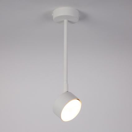 Lestenec na drogu NEMO 1xGX53/12W/230V 35 cm bela