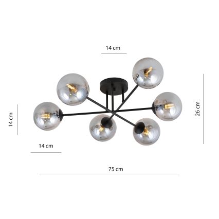 Lestenec na drogu ROMA 6xE14/10W/230V črna/dimna