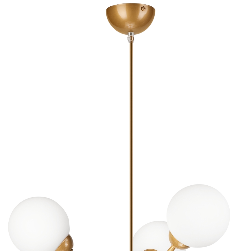 Lestenec na drogu RUBBY BALL 6xG9/5W/230V zlata