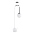 Lestenec na drogu VECTOR 2xE14/10W/230V črna