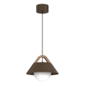 Lestenec na kablu FUNDA 1xE27/15W/230V rjav