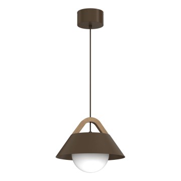 Lestenec na kablu FUNDA 1xE27/15W/230V rjav