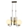 Lestenec na kablu REGGIO 3xE27/40W/230V, zlata