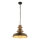 Lestenec na verigi 1xE27/40W/230V bron