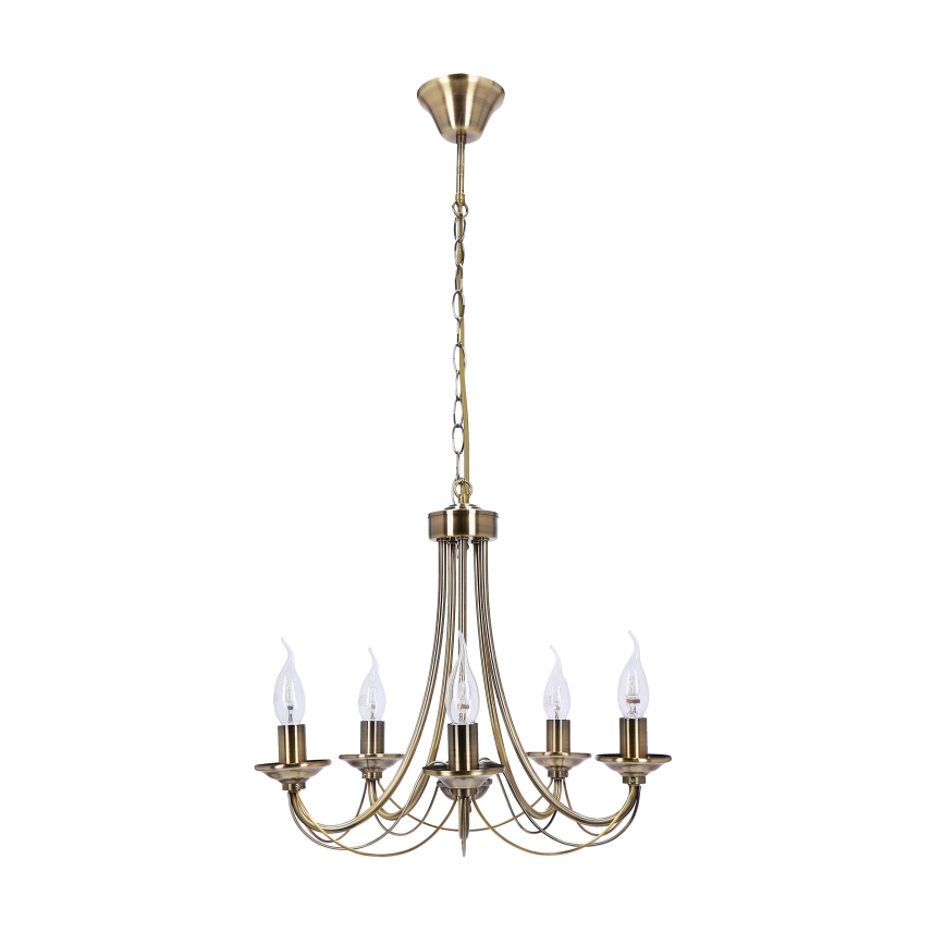 Lestenec na verigi MUZA 5xE14/40W/230V