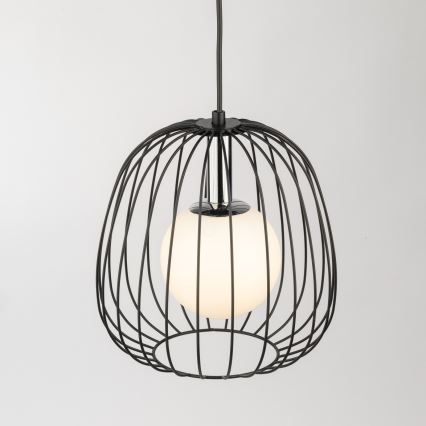 Lestenec na vrvici BELL 1xG9/12W/230V pr. 24 cm črna/sijajni krom