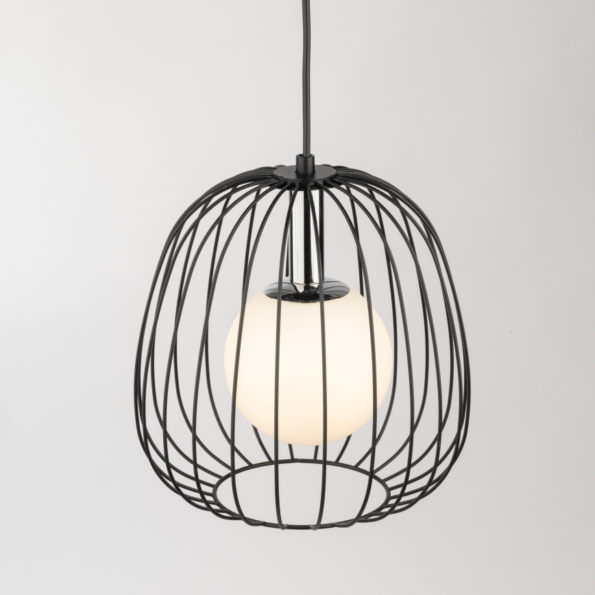 Lestenec na vrvici BELL 1xG9/12W/230V pr. 24 cm črna/sijajni krom