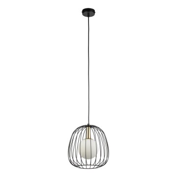 Lestenec na vrvici BELL 1xG9/12W/230V pr. 24 cm črna/zlata
