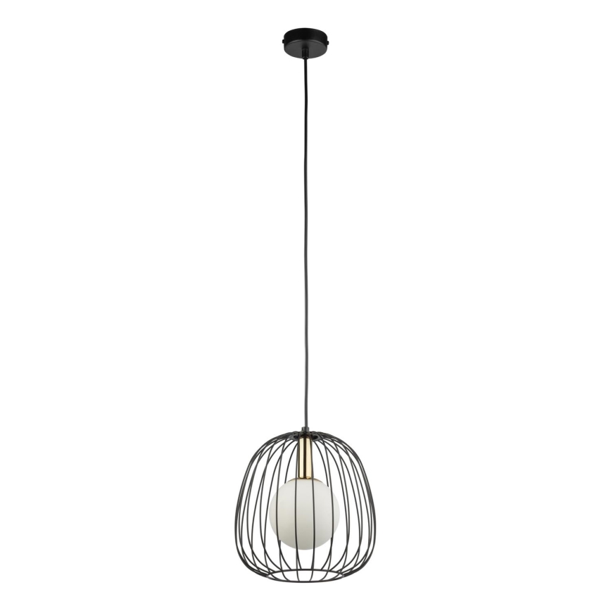 Lestenec na vrvici BELL 1xG9/12W/230V pr. 24 cm črna/zlata