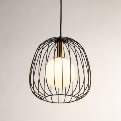 Lestenec na vrvici BELL 1xG9/12W/230V pr. 24 cm črna/zlata