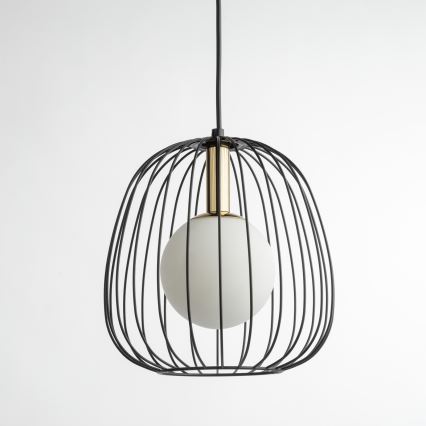 Lestenec na vrvici BELL 1xG9/12W/230V pr. 24 cm črna/zlata