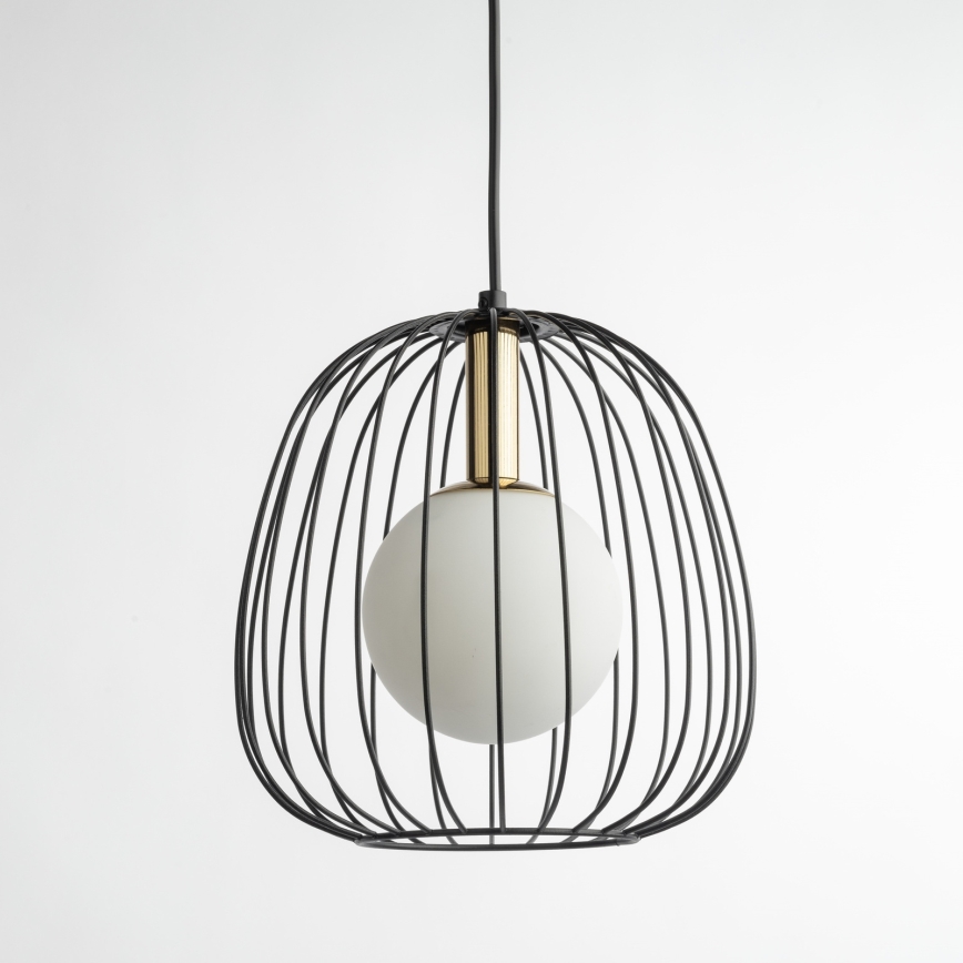 Lestenec na vrvici BELL 1xG9/12W/230V pr. 24 cm črna/zlata