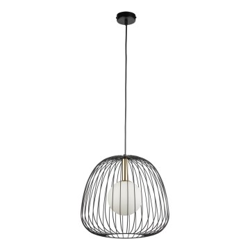 Lestenec na vrvici BELL 1xG9/12W/230V pr. 33 cm črna/zlata