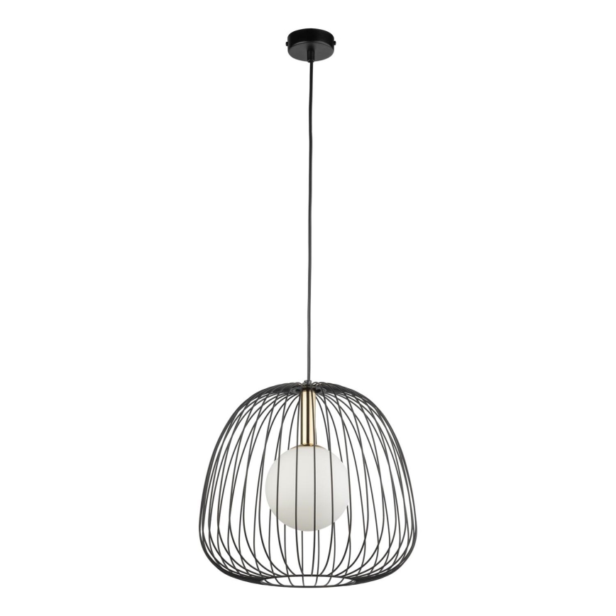 Lestenec na vrvici BELL 1xG9/12W/230V pr. 33 cm črna/zlata