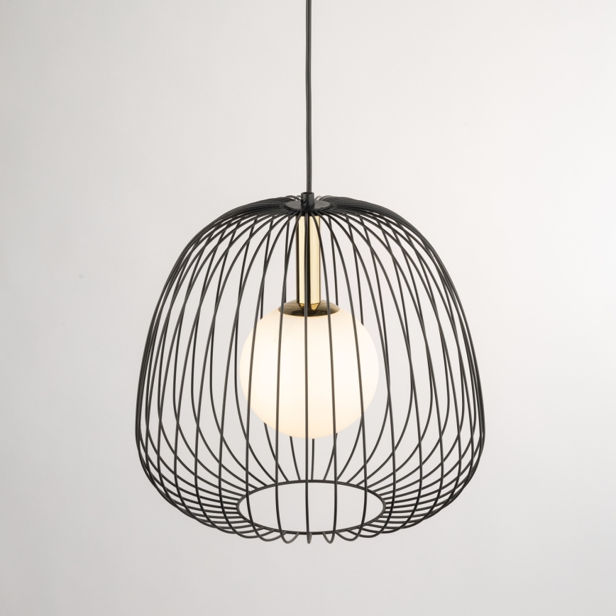 Lestenec na vrvici BELL 1xG9/12W/230V pr. 33 cm črna/zlata