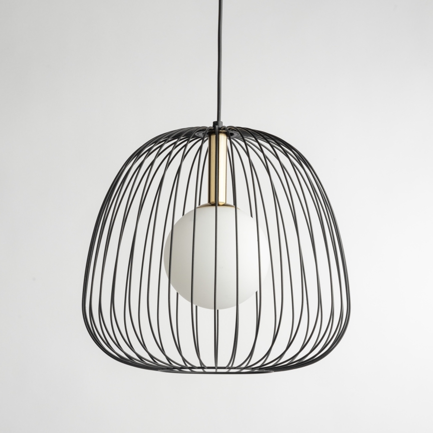 Lestenec na vrvici BELL 1xG9/12W/230V pr. 33 cm črna/zlata