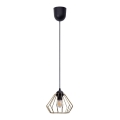 Lestenec na vrvici CEED GOLD 1xE27/60W/230V pr. 17,5 cm črna/zlata