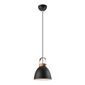 Lestenec na vrvici DANIELLE 1xE27/60W/230V buk