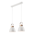 Lestenec na vrvici DANIELLE 2xE27/60W/230V buk