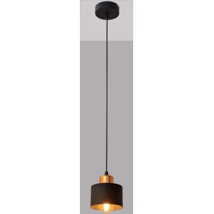 Lestenec na vrvici EDISON 1xE27/15W/230V
