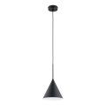 Lestenec na vrvici FABO 1xE27/15W/230V črna