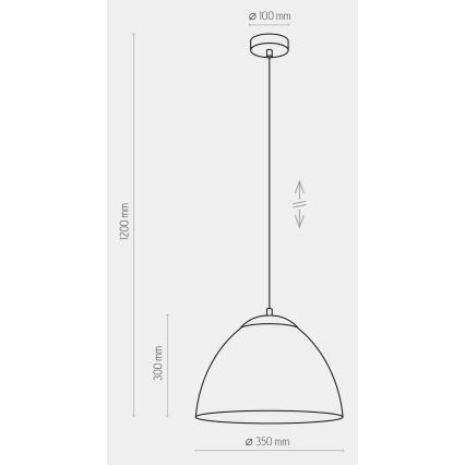 Lestenec na vrvici FARO 1xE27/60W/230V črna