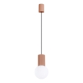 Lestenec na vrvici HALO 1xG9/8W/230V pr. 12 cm rjava