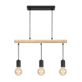 Lestenec na vrvici IZZY 3xE27/60W/230V