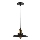 Lestenec na vrvici LOFT 1xE27/60W/230V pr. 22 cm črna