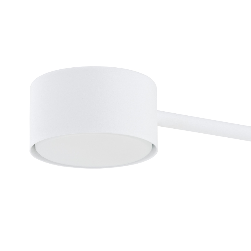 Lestenec na vrvici MODUS 4xGX53/10W/230V bela
