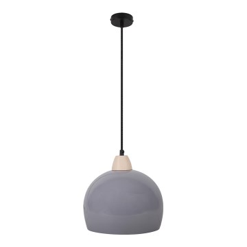 Lestenec na vrvici MONROE 1xE27/60W/230V siva