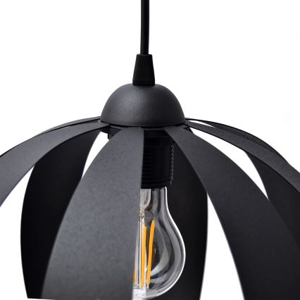 Lestenec na vrvici NEWTON 1xE27/15W/230V črna