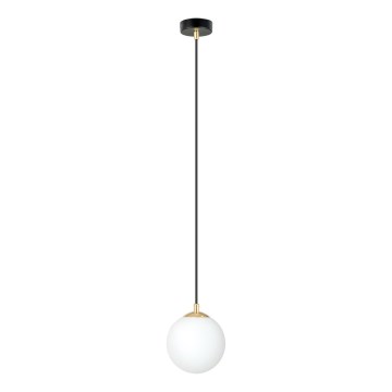 Lestenec na vrvici ROYAL 1xE14/10W/230V pr. 14 cm črna