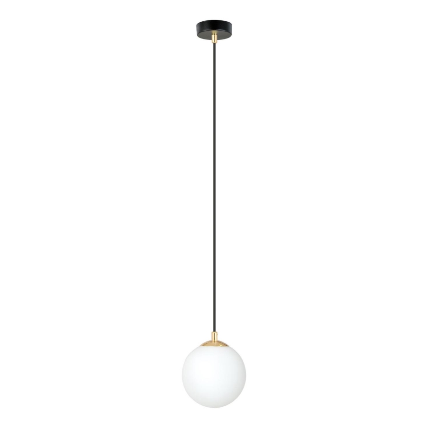 Lestenec na vrvici ROYAL 1xE14/10W/230V pr. 14 cm črna