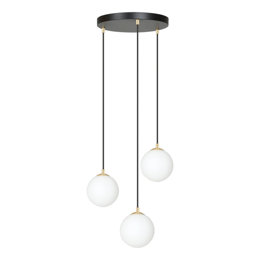 Lestenec na vrvici ROYAL 3xE14/10W/230V pr. 30 cm črna