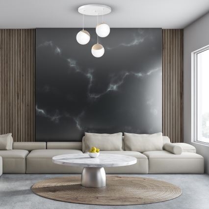 Lestenec na vrvici SFERA WOOD 3xE14/40W/230V