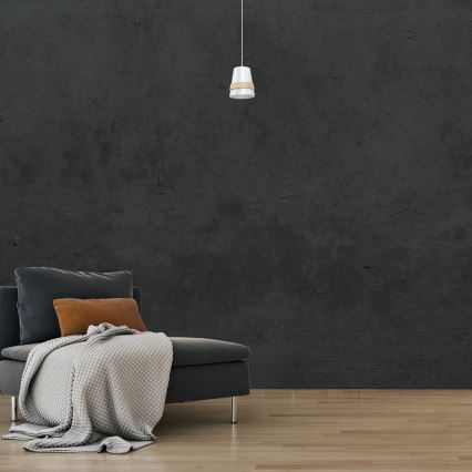 Lestenec na vrvici VENEZIA 1xE27/60W/230V