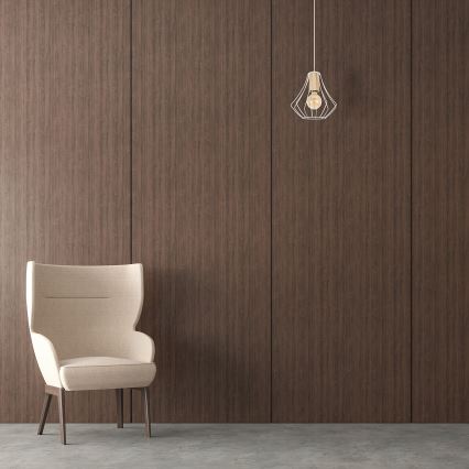 Lestenec na vrvici WILL 1xE27/60W/230V