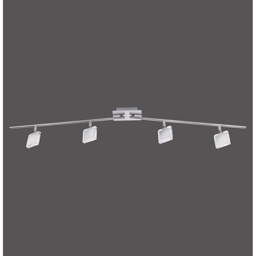 Leuchten Direkt 11084-55 - LED Reflektor TONY 4xLED/4W/230V