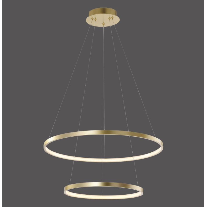 Leuchten Direkt 11525-12 -LED Lestenec na vrvici CIRCLE 1xLED/18,5W/230V + LED/23,5W