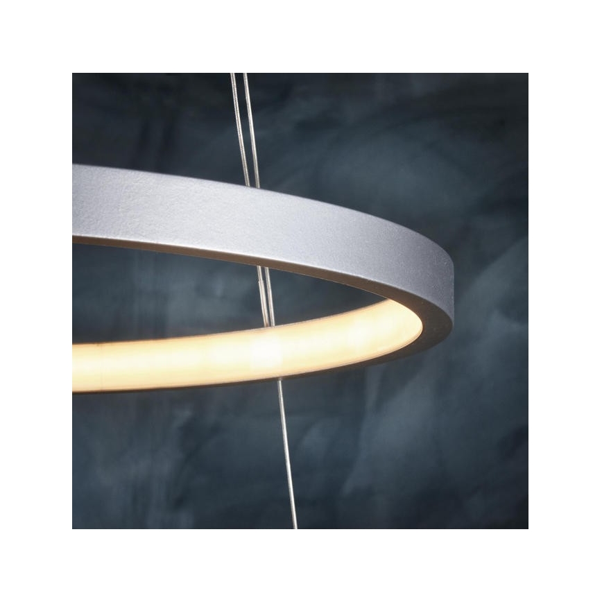 Leuchten Direkt 11525-21 - LED Lestenec na vrvici CIRCLE 1xLED/15W/230V + LED/25W