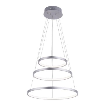 Leuchten Direkt 11526-55 - LED zatemnjevalni viseči lestenec na kablu CIRCLE LED/13,5W/230V + LED/19,5W + LED/24W