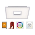 Leuchten Direkt 11645-16 - LED RGB Zatemnitvena stropna svetilka RECESS LED/22,5W/230V + LED/5W + Daljinski upravljalnik