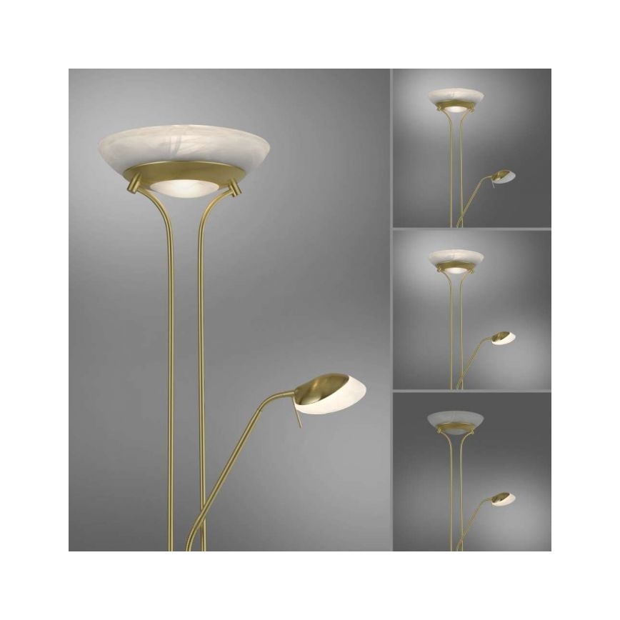 Leuchten Direkt 11730-60 - LED Zatemnitvena talna svetilka ZAHARA LED/16W/230V + LED/5W