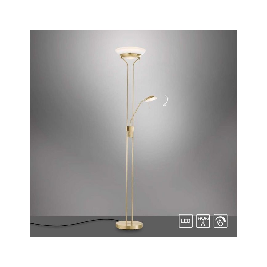 Leuchten Direkt 11730-60 - LED Zatemnitvena talna svetilka ZAHARA LED/16W/230V + LED/5W